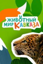 Сериал Животный мир Кавказа скачать торрент