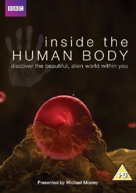 Скачать Внутри человеческого тела / Inside the Human Body 1 сезон HDRip торрент