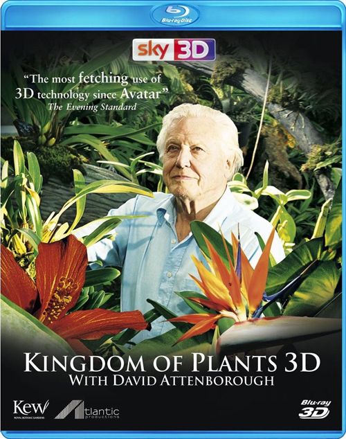 Скачать В королевстве растений / Kingdom of Plants 3D 1 сезон HDRip торрент