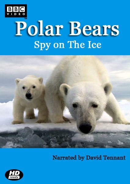 Скачать Белый медведь: Шпион во льдах / Polar Bears: Spy on the Ice 1 сезон HDRip торрент