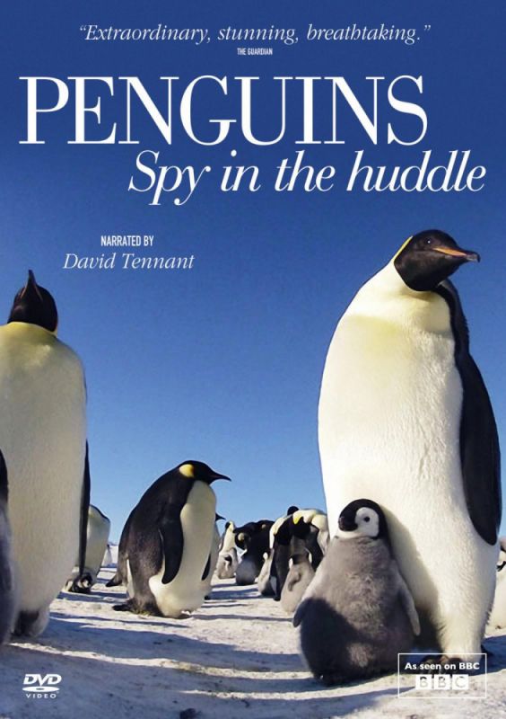 Сериал Пингвины: Шпион в толпе скачать торрент
