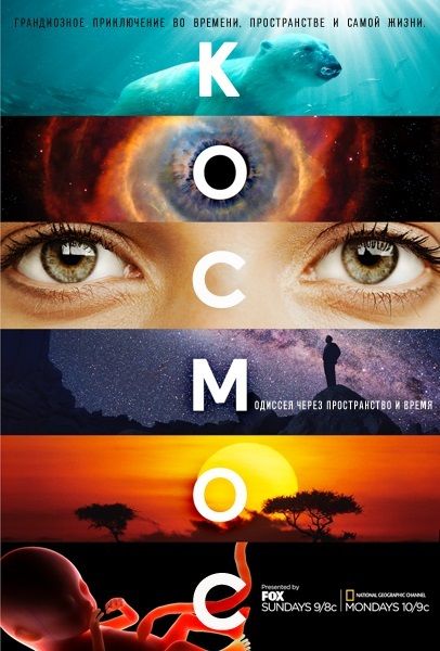 Скачать Космос: Пространство и время / Cosmos: A Spacetime Odyssey 1 сезон HDRip торрент
