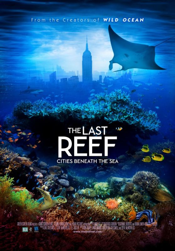 Скачать Последний риф 3D / The Last Reef 3D HDRip торрент