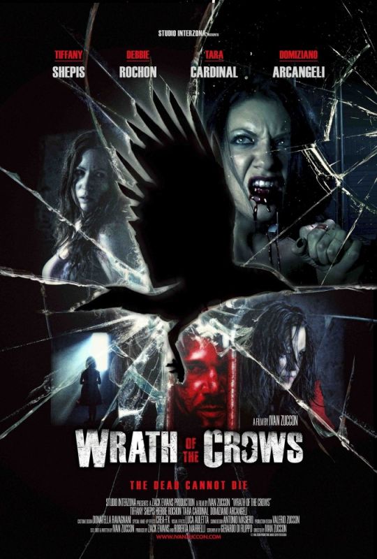Скачать Гнев вороны / Wrath of the Crows HDRip торрент