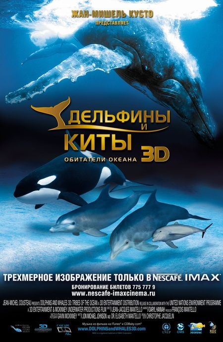 Скачать Дельфины и киты 3D / Dolphins and Whales 3D: Tribes of the Ocean HDRip торрент