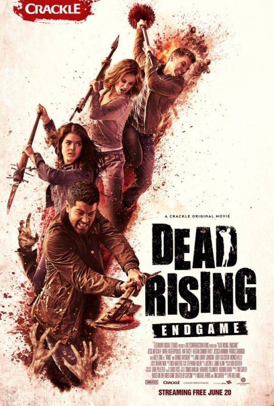 Скачать Восставшие мертвецы: Конец игры / Dead Rising: Endgame HDRip торрент