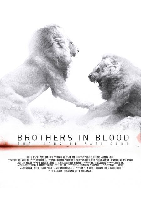 Скачать Прирожденные короли / Brothers in Blood: The Lions of Sabi Sand HDRip торрент