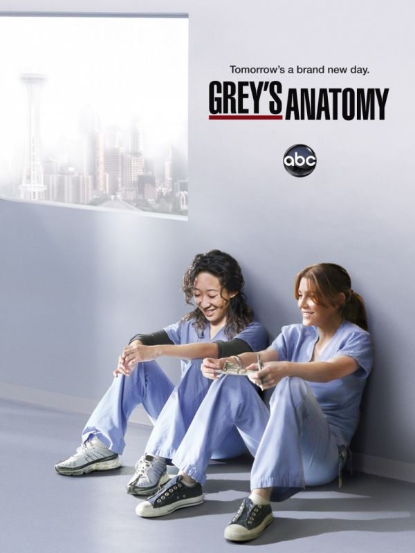 Скачать Анатомия страсти / Grey's Anatomy 1-17 сезон SATRip через торрент