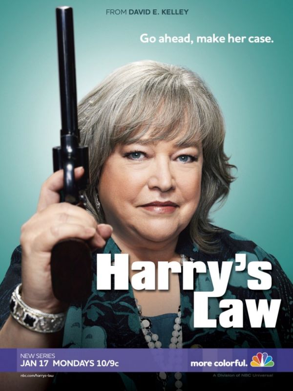 Скачать Закон Хэрри / Harry's Law 2 сезон SATRip через торрент
