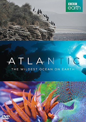 Скачать Атлантика: Самый необузданный океан на Земле / Atlantic: The Wildest Ocean on Earth 1 сезон HDRip торрент