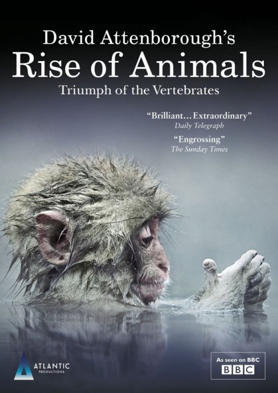 Скачать Восстание животных: Триумф позвоночных / Rise of Animals: Triumph of the Vertebrates 1 сезон HDRip торрент