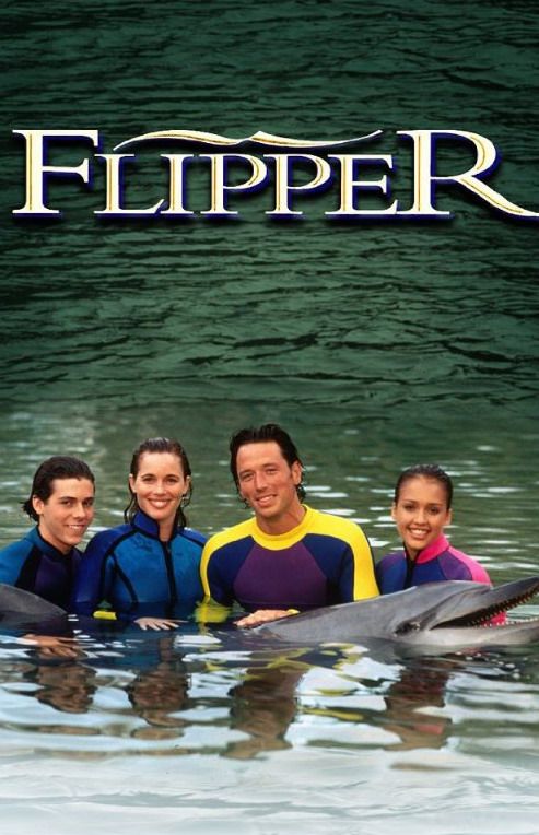 Скачать Флиппер / Flipper SATRip через торрент