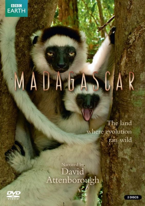 Скачать BBC: Мадагаскар / Madagascar 1 сезон HDRip торрент