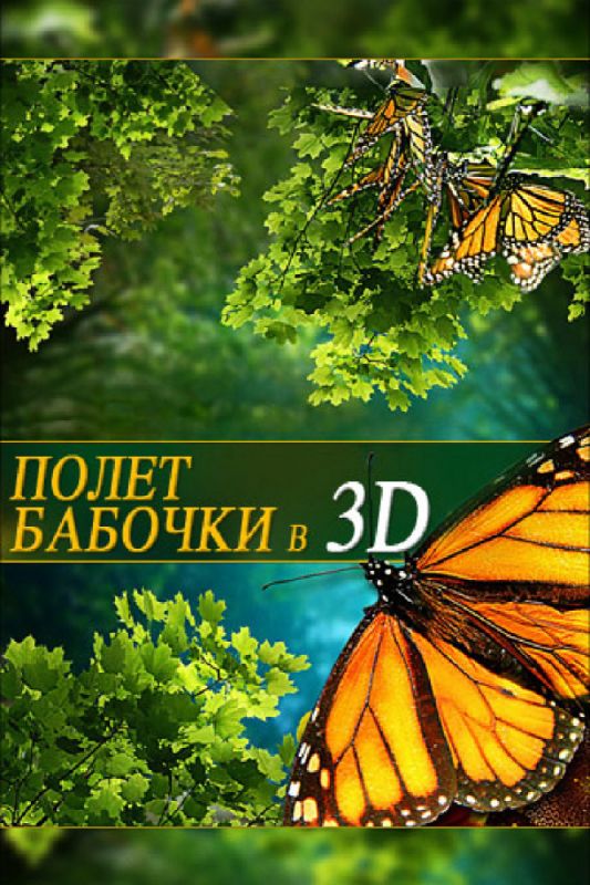 Скачать Полет бабочки 3D / Flight of the Monarch Butterfly 3D SATRip через торрент