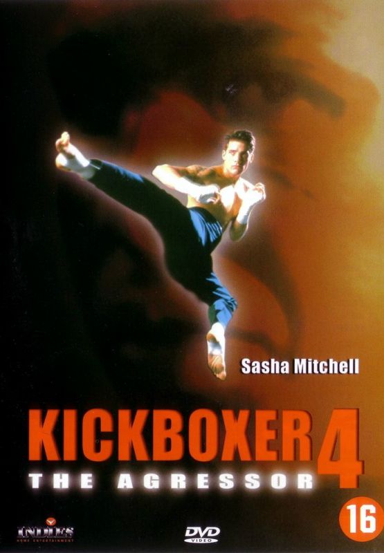 Скачать Кикбоксер 4: Агрессор / Kickboxer 4: The Aggressor HDRip торрент