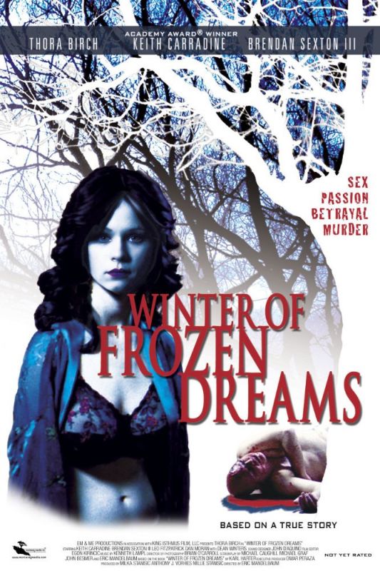 Скачать Зима замерзших надежд / Winter of Frozen Dreams HDRip торрент