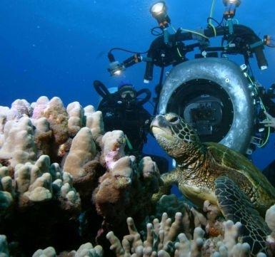 Тайны подводного мира 3D кино фильм скачать торрент
