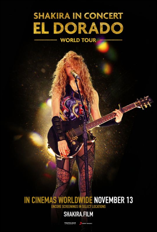 Скачать Shakira In Concert: El Dorado World Tour / Shakira In Concert: El Dorado World Tour HDRip торрент