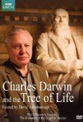 Скачать Чарльз Дарвин и Древо жизни / Charles Darwin and the Tree of Life HDRip торрент