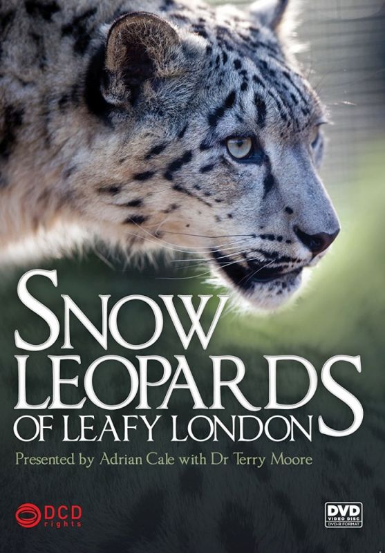 Скачать Snow Leopards of Leafy London HDRip торрент