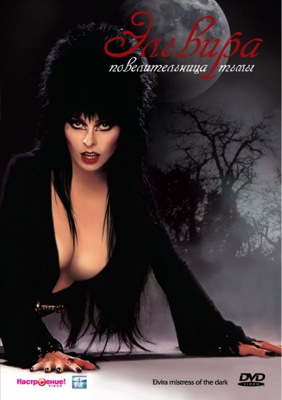 Скачать Эльвира: Повелительница тьмы / Elvira: Mistress of the Dark HDRip торрент