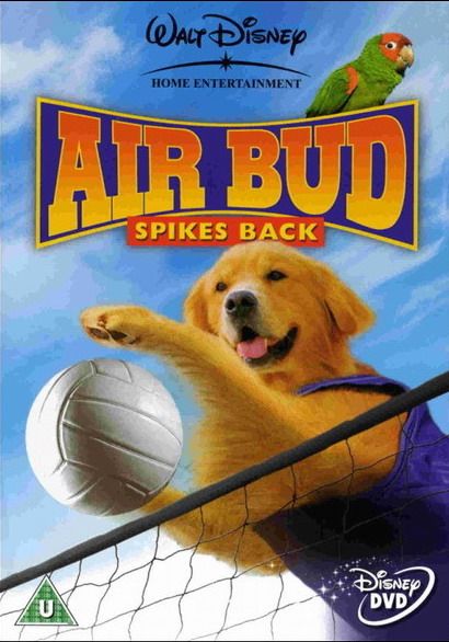 Скачать Король воздуха: Возвращение / Air Bud: Spikes Back HDRip торрент