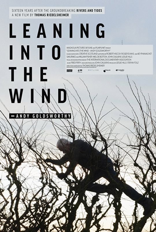 Скачать Leaning Into the Wind: Andy Goldsworthy HDRip торрент