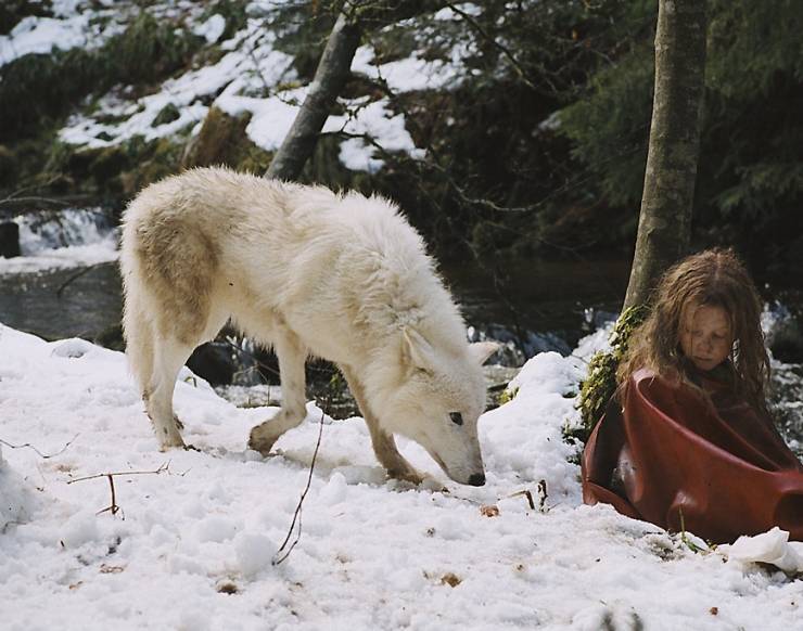 Выживая с волками кино фильм скачать торрент