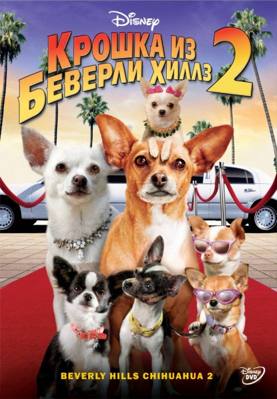 Скачать Крошка из Беверли-Хиллз 2 / Beverly Hills Chihuahua 2 HDRip торрент