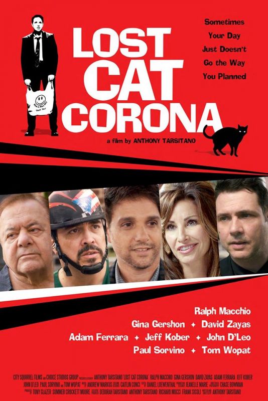 Скачать В Короне пропал кот / Lost Cat Corona HDRip торрент