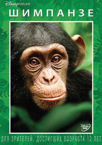 Скачать Шимпанзе / Chimpanzee HDRip торрент