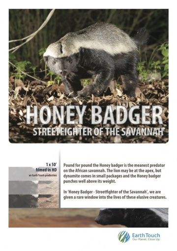 Скачать Ultimate Honey Badger HDRip торрент