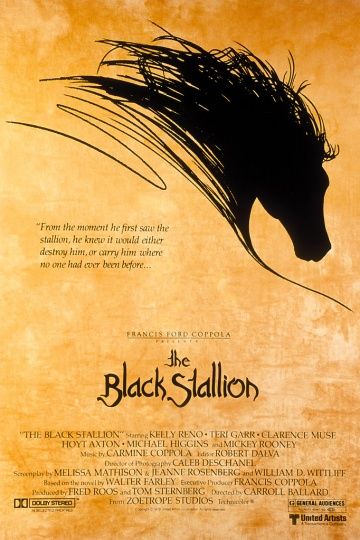 Скачать Черный скакун / The Black Stallion HDRip торрент
