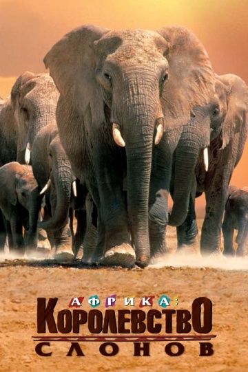 Фильм Африка – королевство слонов скачать торрент