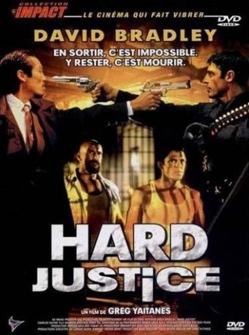 Скачать Жестокая справедливость / Hard Justice HDRip торрент
