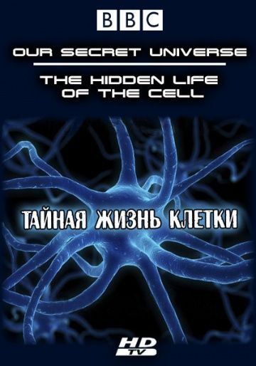 Фильм Внутренняя вселенная: Тайная жизнь клетки скачать торрент