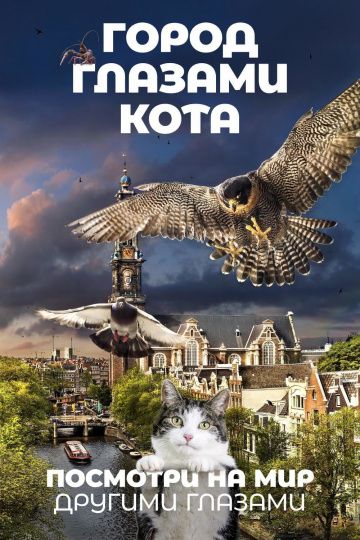 Скачать Город глазами кота / Wild Amsterdam HDRip торрент