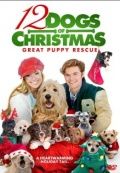 Скачать 12 рождественских собак 2 / 12 Dogs of Christmas: Great Puppy Rescue SATRip через торрент