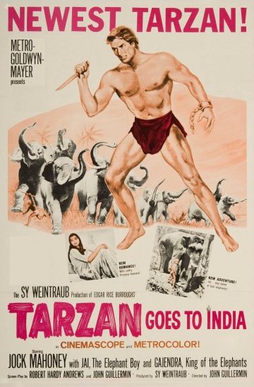 Скачать Тарзан едет в Индию / Tarzan Goes to India HDRip торрент
