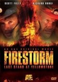 Скачать Огненный шторм / Firestorm: Last Stand at Yellowstone SATRip через торрент
