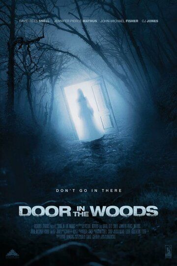 Скачать Дверь в лесу / Door in the Woods HDRip торрент