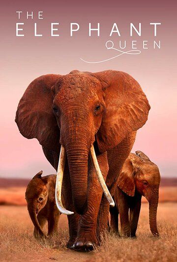 Скачать Королева слонов / The Elephant Queen HDRip торрент