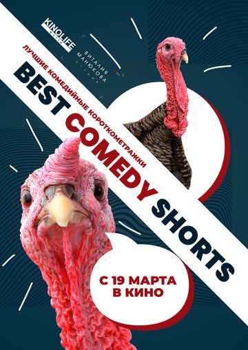 Скачать Best Comedy Shorts HDRip торрент