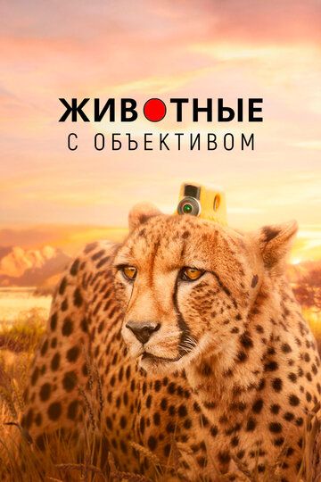 Скачать Животные с объективом / Animals with Cameras HDRip торрент
