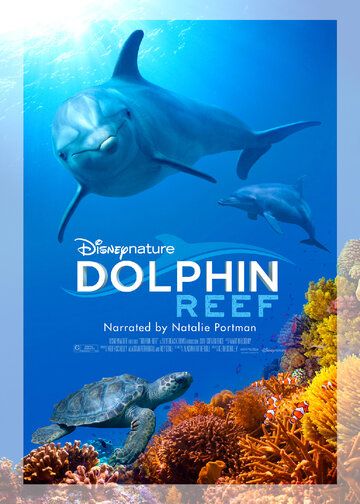 Скачать Дельфиний риф / Dolphin Reef HDRip торрент