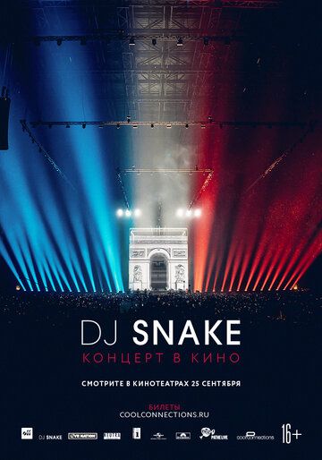 Скачать DJ Snake — Концерт в кино / DJ Snake — The Concert In Cinema HDRip торрент