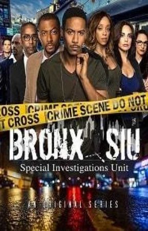 Скачать Бронкс СИУ (2 сезон) / Bronx SIU SATRip через торрент