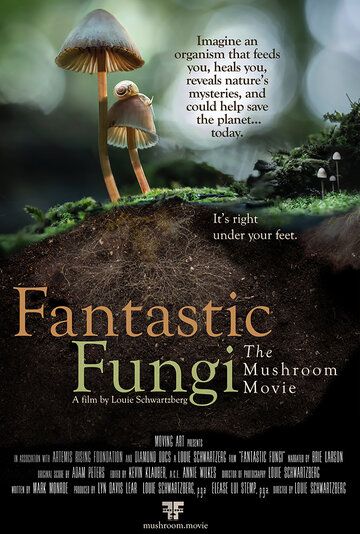 Скачать Фантастические грибы / Fantastic Fungi HDRip торрент