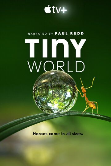 Скачать Крошечный мир / Tiny World HDRip торрент