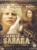 Скачать Секрет Сахары / Il segreto del Sahara 1 сезон SATRip через торрент